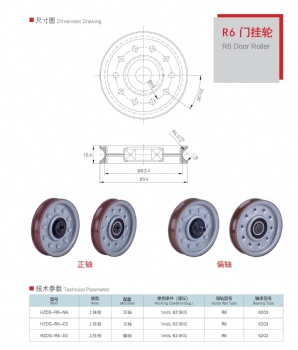 Door Roller-R6